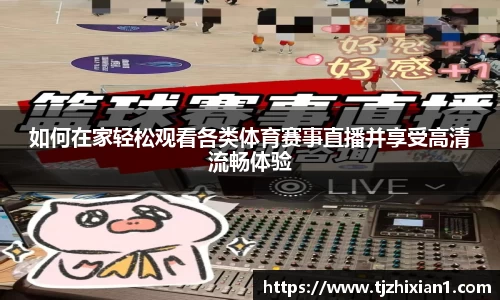 如何在家轻松观看各类体育赛事直播并享受高清流畅体验