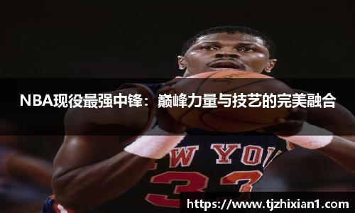 NBA现役最强中锋：巅峰力量与技艺的完美融合